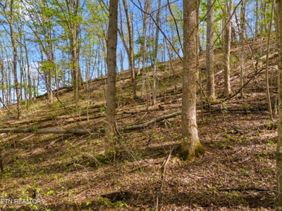 2.38 Acres in Gated Community in Hawkins County, Tennessee - image 7