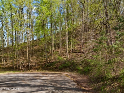 2.38 Acres in Gated Community in Hawkins County, Tennessee - image 19