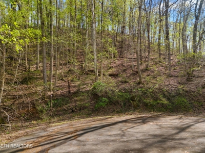 2.38 Acres in Gated Community in Hawkins County, Tennessee - image 20