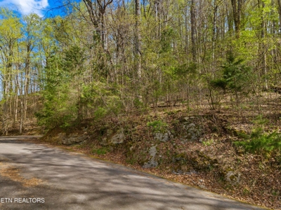 2.38 Acres in Gated Community in Hawkins County, Tennessee - image 18