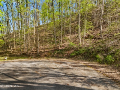 2.38 Acres in Gated Community in Hawkins County, Tennessee - image 4