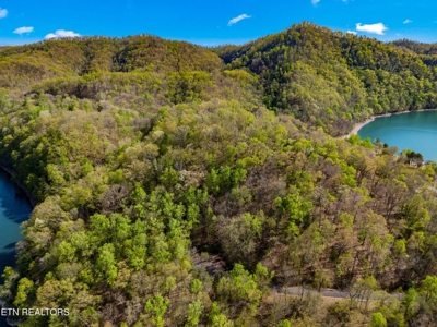 2.38 Acres in Gated Community in Hawkins County, Tennessee - image 8