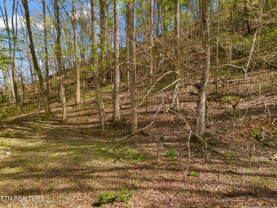 2.38 Acres in Gated Community in Hawkins County, Tennessee - image 5