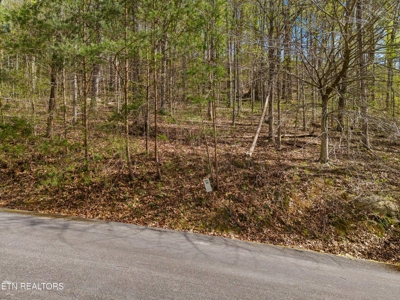 2.38 Acres in Gated Community in Hawkins County, Tennessee - image 17