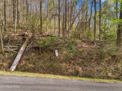2.38 Acres in Gated Community in Hawkins County, Tennessee - image 16