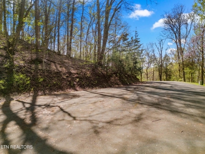 2.38 Acres in Gated Community in Hawkins County, Tennessee - image 6