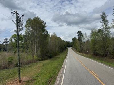 14 +/- acres cleared land - Home site or mobile home opportunity - image 2