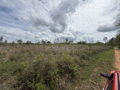 14 +/- acres cleared land - Home site or mobile home opportunity - image 4