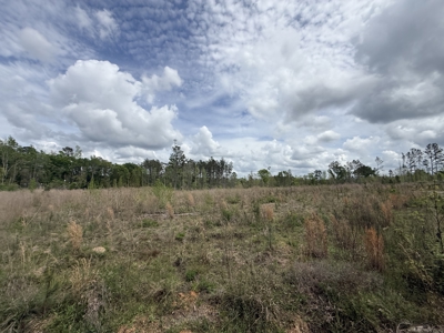 14 +/- acres cleared land - Home site or mobile home opportunity - image 3