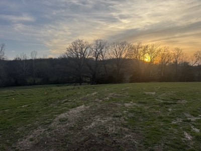 Land for Sale El Dorado Springs, Cedar County, MO - image 9