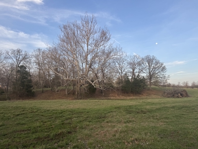 Land for Sale El Dorado Springs, Cedar County, MO - image 8