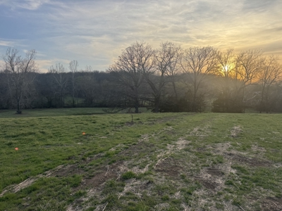 Land for Sale El Dorado Springs, Cedar County, MO - image 7