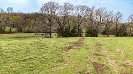 Land for Sale El Dorado Springs, Cedar County, MO - image 20