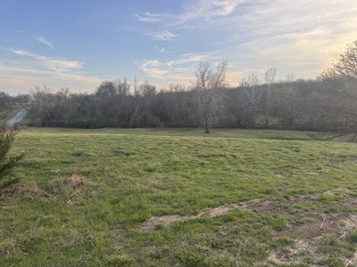 Land for Sale El Dorado Springs, Cedar County, MO - image 4
