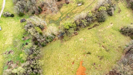 Land for Sale El Dorado Springs, Cedar County, MO - image 11