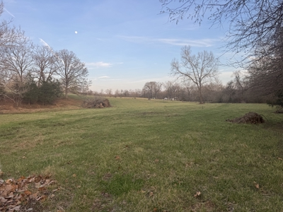 Land for Sale El Dorado Springs, Cedar County, MO - image 21