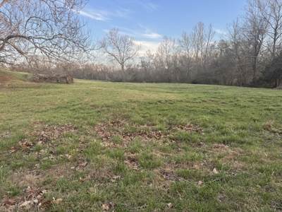 Land for Sale El Dorado Springs, Cedar County, MO - image 1