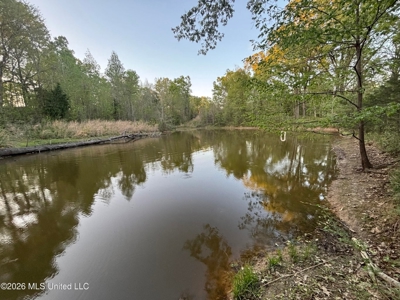 77 Acres in Edwards, MS Hinds County Big Black River Region - image 34