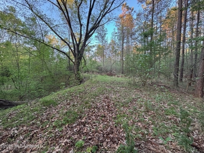 77 Acres in Edwards, MS Hinds County Big Black River Region - image 31