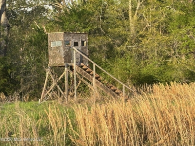 77 Acres in Edwards, MS Hinds County Big Black River Region - image 10
