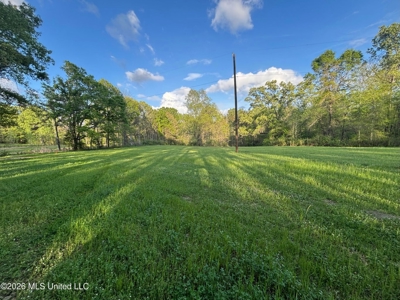 77 Acres in Edwards, MS Hinds County Big Black River Region - image 2