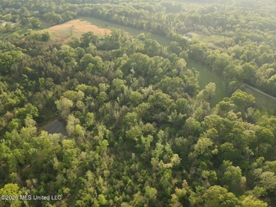 77 Acres in Edwards, MS Hinds County Big Black River Region - image 47
