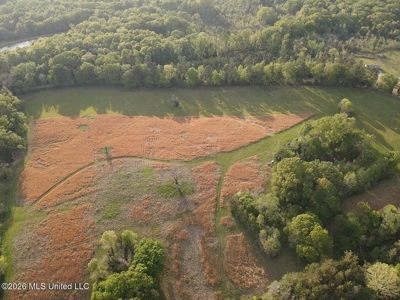 77 Acres in Edwards, MS Hinds County Big Black River Region - image 45