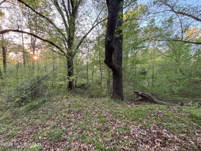 77 Acres in Edwards, MS Hinds County Big Black River Region - image 32