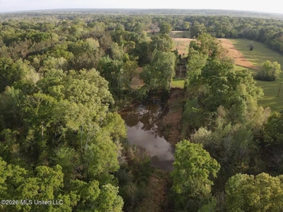 77 Acres in Edwards, MS Hinds County Big Black River Region - image 41