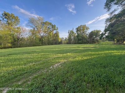 77 Acres in Edwards, MS Hinds County Big Black River Region - image 3