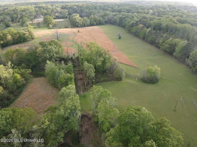77 Acres in Edwards, MS Hinds County Big Black River Region - image 39