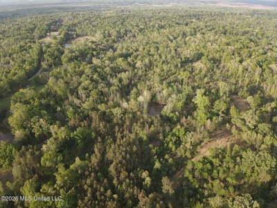 77 Acres in Edwards, MS Hinds County Big Black River Region - image 44