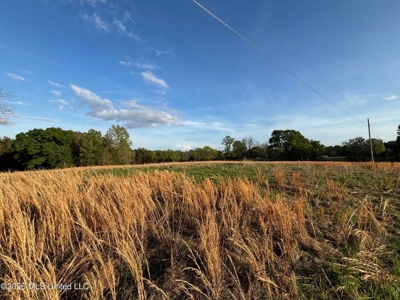 77 Acres in Edwards, MS Hinds County Big Black River Region - image 12