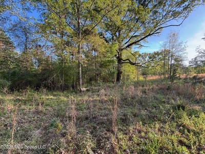 77 Acres in Edwards, MS Hinds County Big Black River Region - image 24