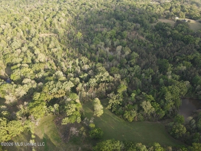 77 Acres in Edwards, MS Hinds County Big Black River Region - image 42