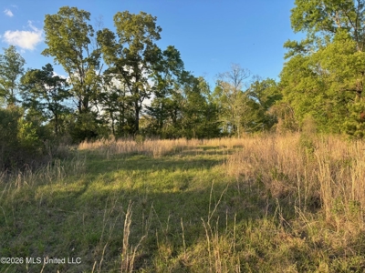 77 Acres in Edwards, MS Hinds County Big Black River Region - image 27