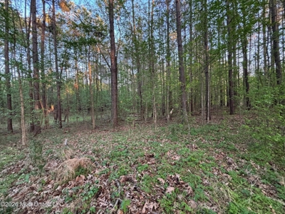 77 Acres in Edwards, MS Hinds County Big Black River Region - image 33