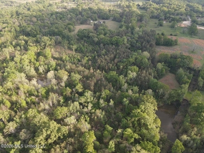 77 Acres in Edwards, MS Hinds County Big Black River Region - image 43