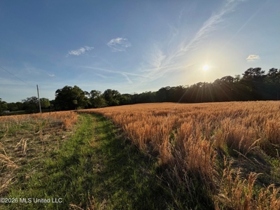 77 Acres in Edwards, MS Hinds County Big Black River Region - image 11