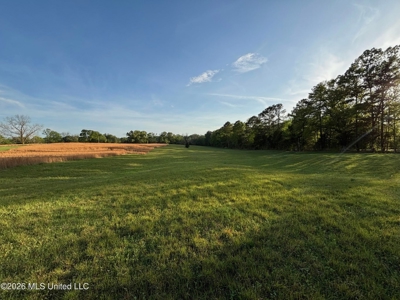 77 Acres in Edwards, MS Hinds County Big Black River Region - image 9