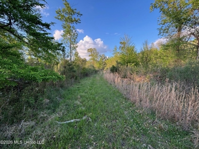 77 Acres in Edwards, MS Hinds County Big Black River Region - image 25