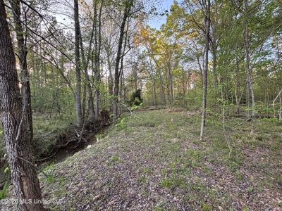 77 Acres in Edwards, MS Hinds County Big Black River Region - image 38