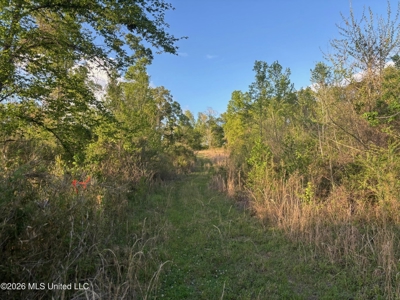 77 Acres in Edwards, MS Hinds County Big Black River Region - image 26
