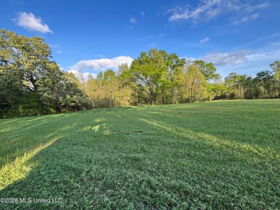 77 Acres in Edwards, MS Hinds County Big Black River Region - image 7