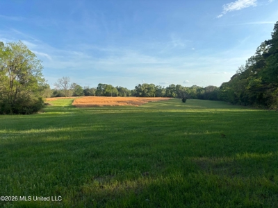 77 Acres in Edwards, MS Hinds County Big Black River Region - image 1
