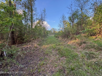 77 Acres in Edwards, MS Hinds County Big Black River Region - image 20