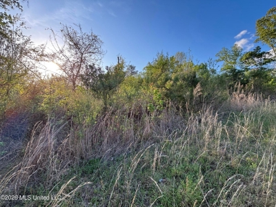 77 Acres in Edwards, MS Hinds County Big Black River Region - image 29