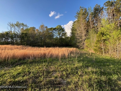 77 Acres in Edwards, MS Hinds County Big Black River Region - image 17
