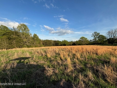 77 Acres in Edwards, MS Hinds County Big Black River Region - image 13