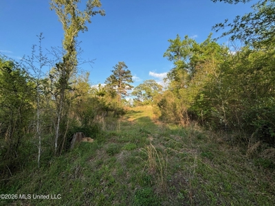 77 Acres in Edwards, MS Hinds County Big Black River Region - image 21